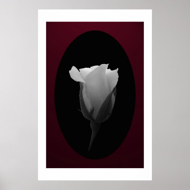 Póster Rosa Bud (blanco y negro) (Frente)