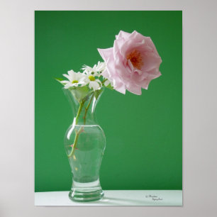 Póster Rosa Daisies Poster
