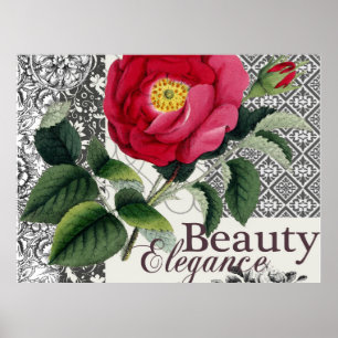 Póster Rosa Damasco Floral Antigua Bonita
