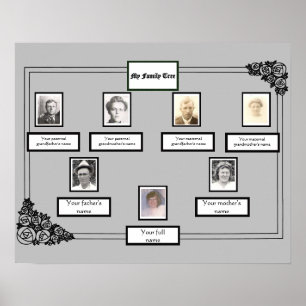 Póster Rosa de árbol de la familia fotográfica dibujando 
