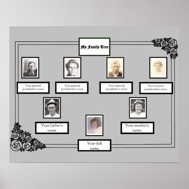 Póster Rosa de árbol de la familia fotográfica dibujando  (Frente)