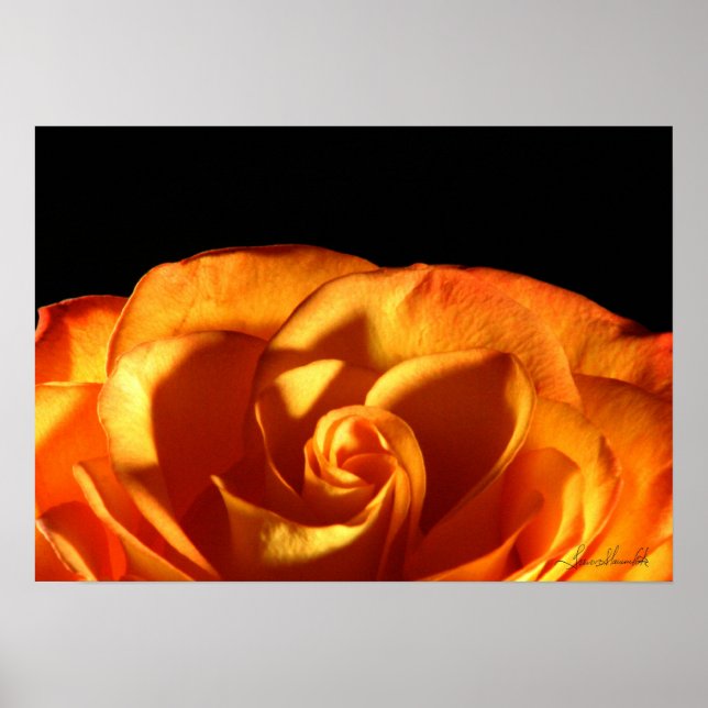 Póster Rosa de atardecer (Frente)