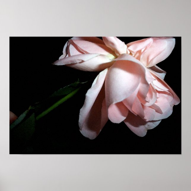 Póster Rosa de baile 19x13 (Frente)