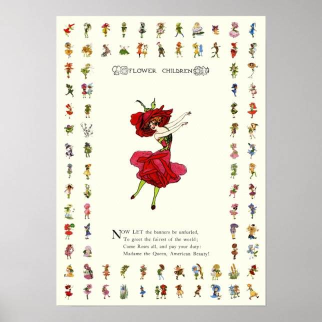 Póster Rosa de belleza norteamericano, flores extravagant (Frente)