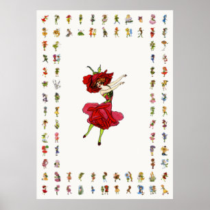 Póster Rosa de belleza norteamericano, flores extravagant