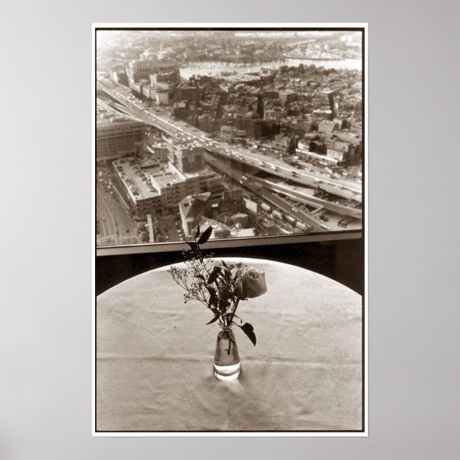 Póster Rosa de Big Dig (Frente)