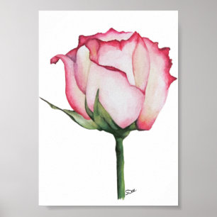 Póster Rosa de Budding Premium 5x7 Poster de brillo de li