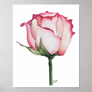 Póster Rosa de Budding Premium 8x10 Poster de brillo de l
