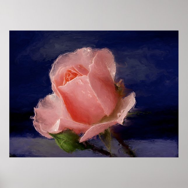 Póster Rosa de medianoche (Frente)