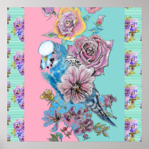 Póster Rosa de pájaro azul Budgie Pintando flores Aqua Po