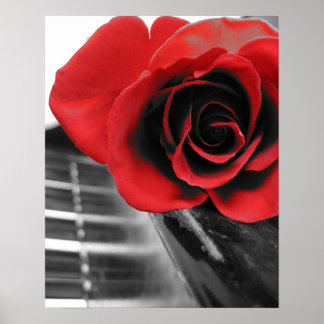 Póster Rosa de Piano Collection I