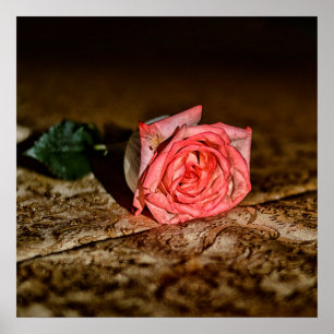 Póster Rosa de poster de cierre