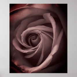 Póster Rosa de Rubor de época