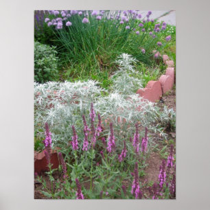 Póster Rosa de salvia, artemesia y poster de cuervos