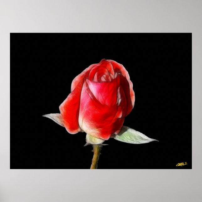 Póster Rosa de sangre (Frente)