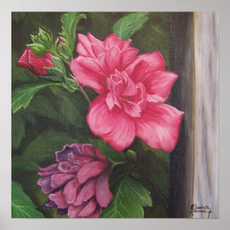 Póster Rosa de Sharon Poster