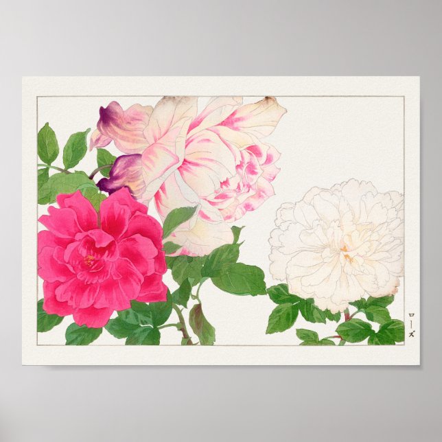 Póster Rosa de Tanigami Konan (Frente)