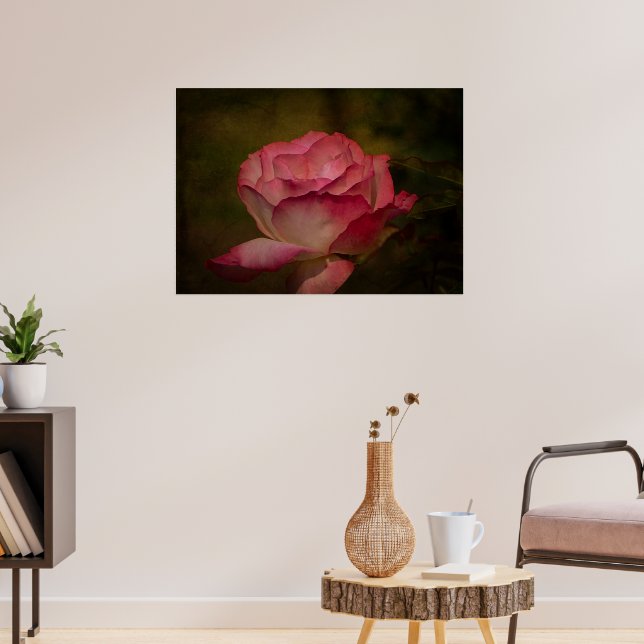 Póster Rosa de Temprana Noche (Salón 3)