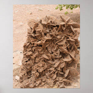 Póster Rosa del Desierto. Túnez.
