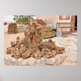 Póster Rosa del desierto. Túnez.