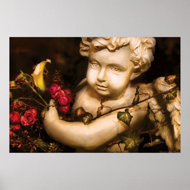 Póster Rosa - El Querubín (Frente)