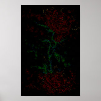 Póster Rosa en la oscuridad