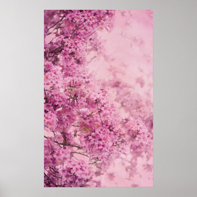 Póster Rosa en rosa (Frente)