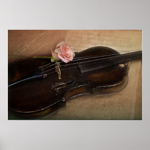 Póster Rosa en violín