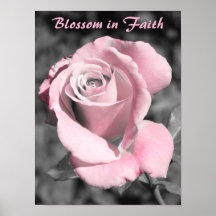 Rosa Faith
