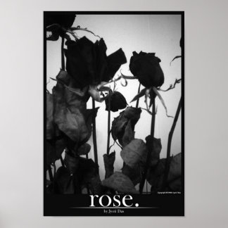 Póster rosa [frontera]