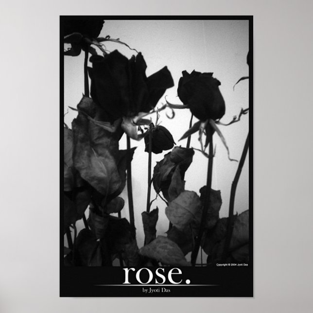 Póster rosa [frontera] (Frente)