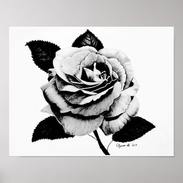 Póster Rosa grabado 11x14 Poster (Frente)