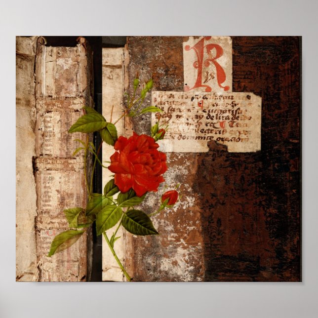 Póster Rosa Grunge (Frente)