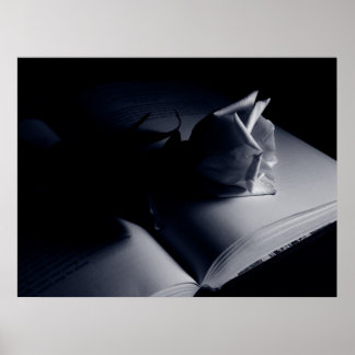 Póster Rosa literario