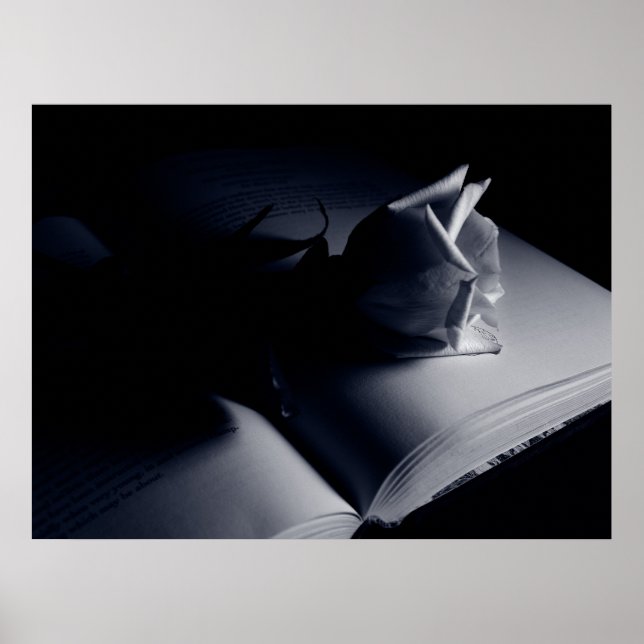 Póster Rosa literario (Frente)