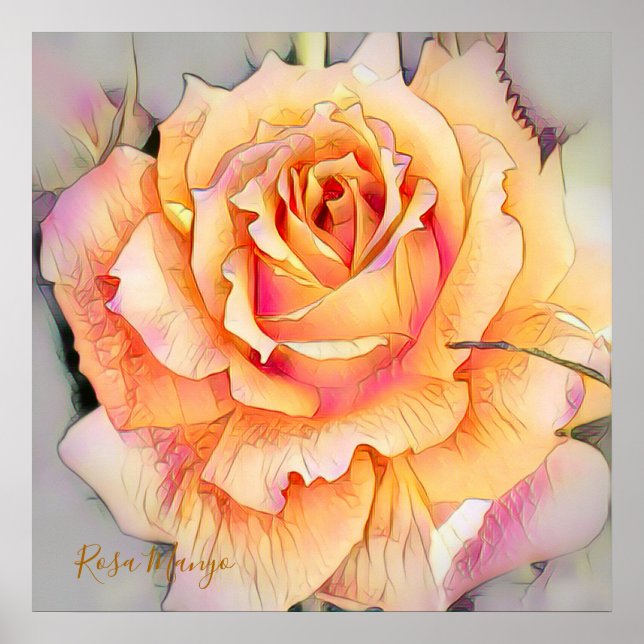 Póster Rosa 'Manyo' [Papel para cartel de valor] (Frente)