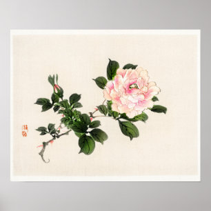Póster Rosa Mesmerizador de Kōno Bairei (1844-1895)