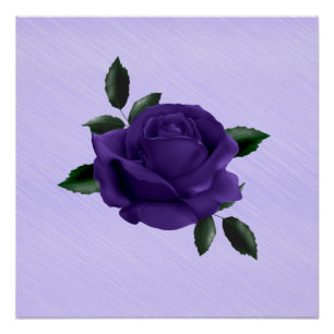 Póster Rosa morado