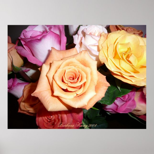 Póster Rosa naranja (Frente)