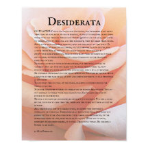 Rosa Naranja Pastel y Poema Desiderata
