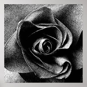 PÓSTER ROSA NEGRA