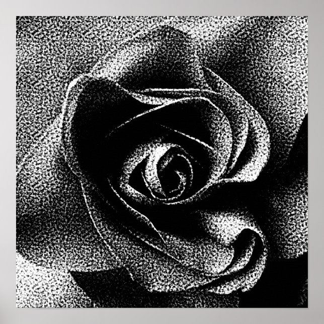PÓSTER ROSA NEGRA (Frente)