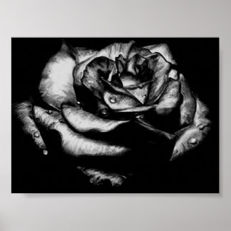 Póster Rosa negro