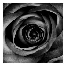 Rosa negro Flor Flor Vintage decorativo floral