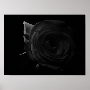 Póster Rosa oscuro