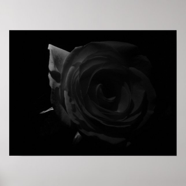 Póster Rosa oscuro (Frente)