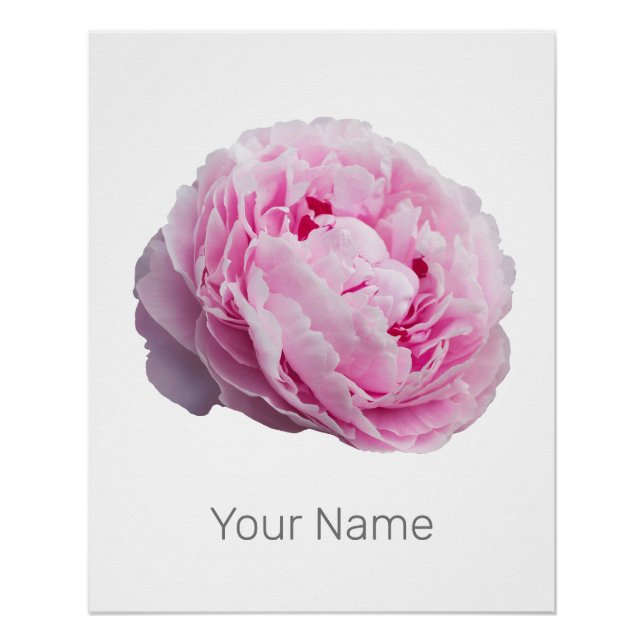 Póster Rosa Peony Blossom Para Flor Y Amante De Jardín (Anverso)