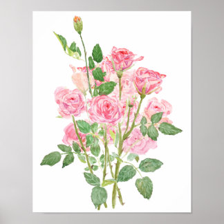 Póster rosa pintada a mano acuarela rosa