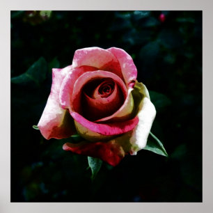 Póster Rosa pintada al óleo