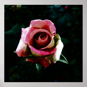 Póster Rosa pintado con aceite